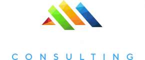 Big Picture Consulting